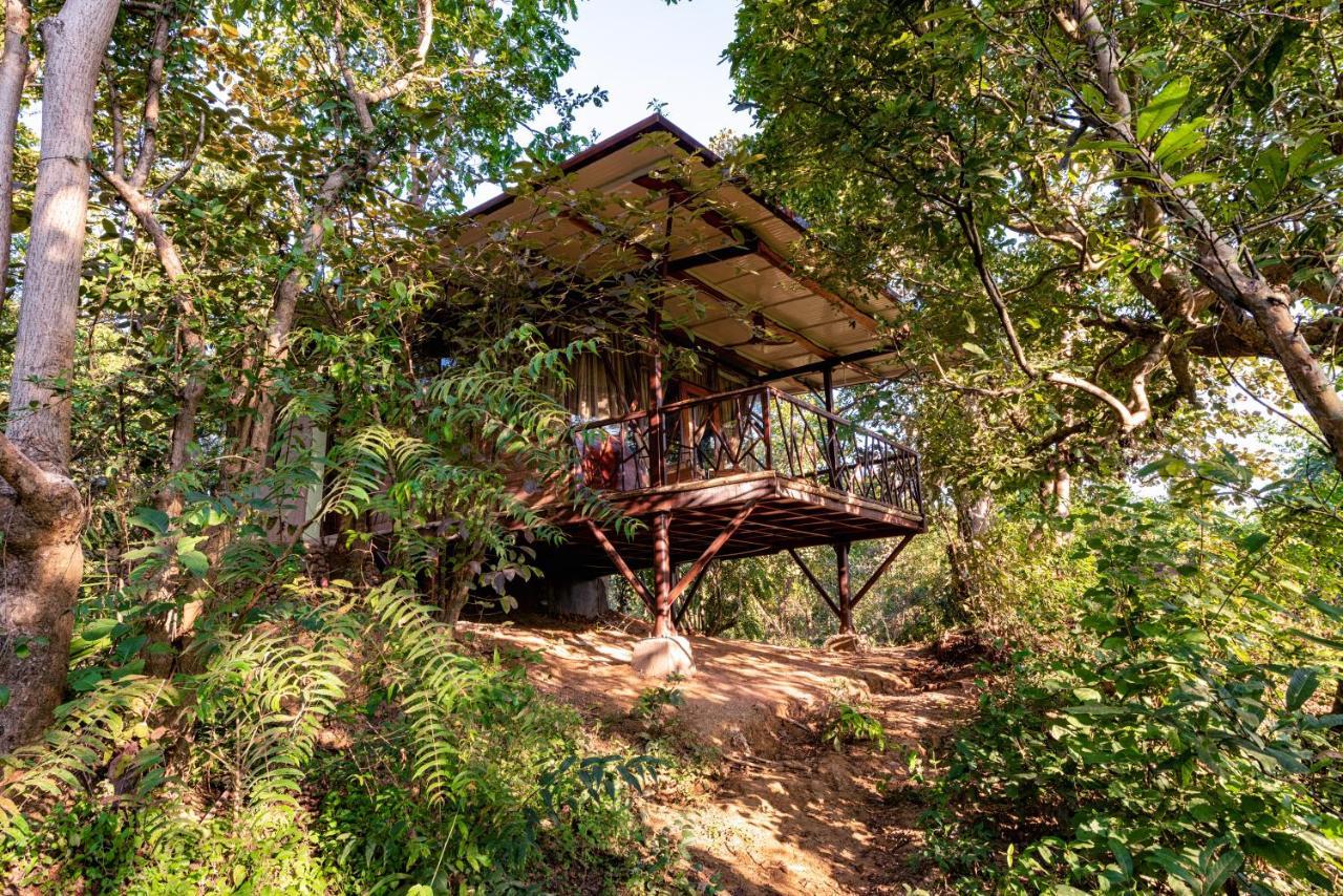 Kanha Jungle Camp 外观 照片