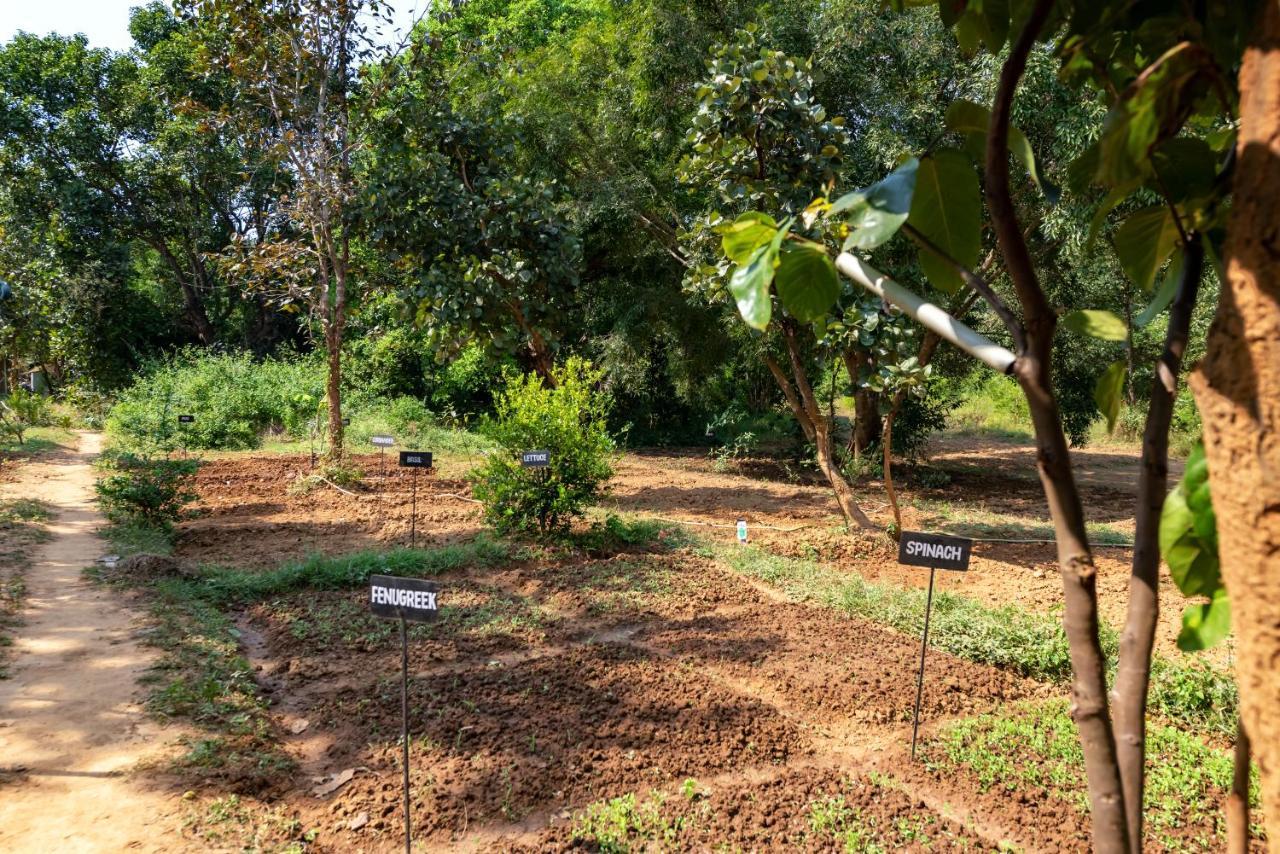 Kanha Jungle Camp 外观 照片