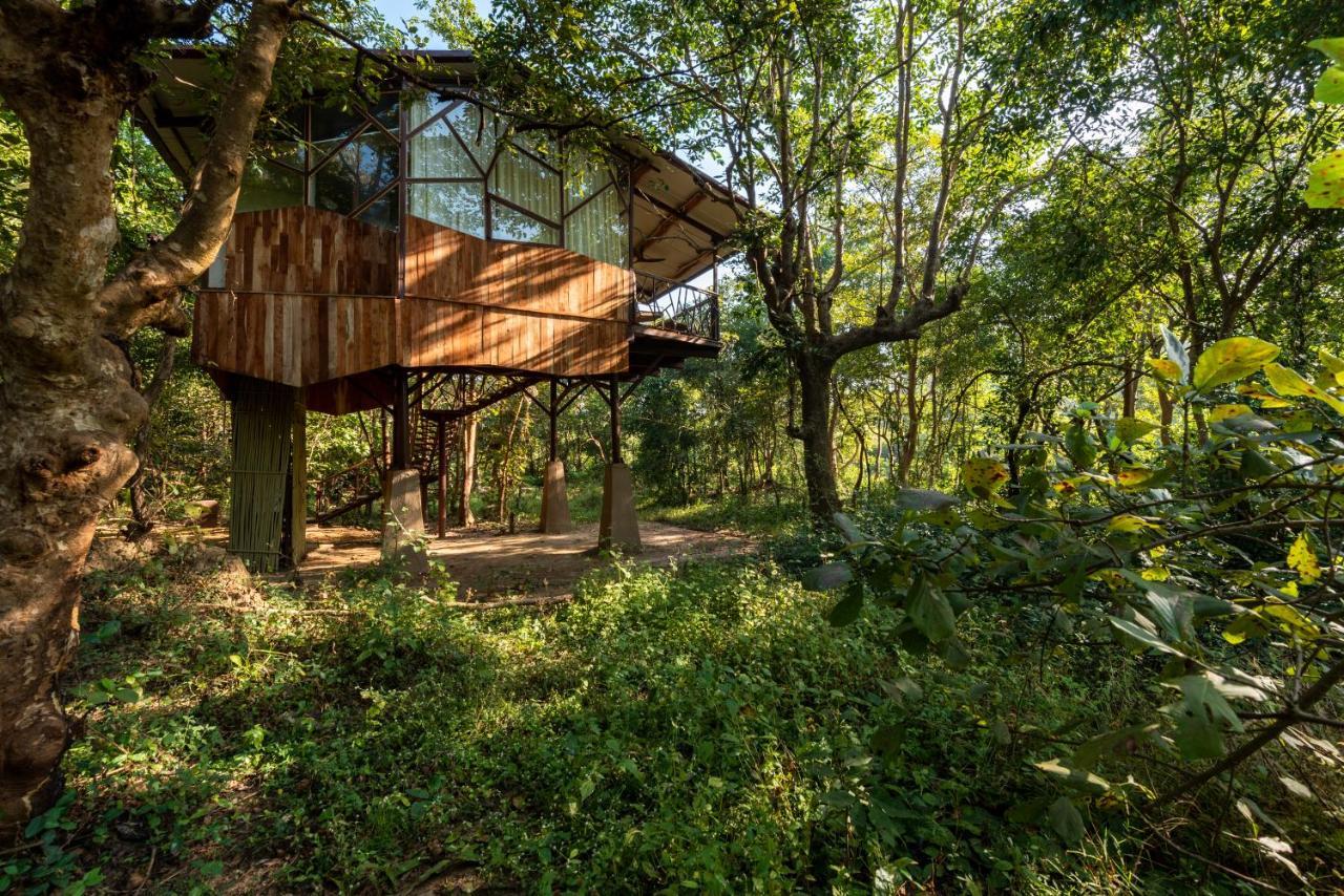 Kanha Jungle Camp 外观 照片