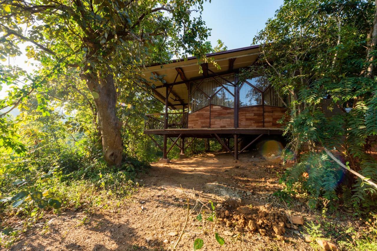 Kanha Jungle Camp 外观 照片
